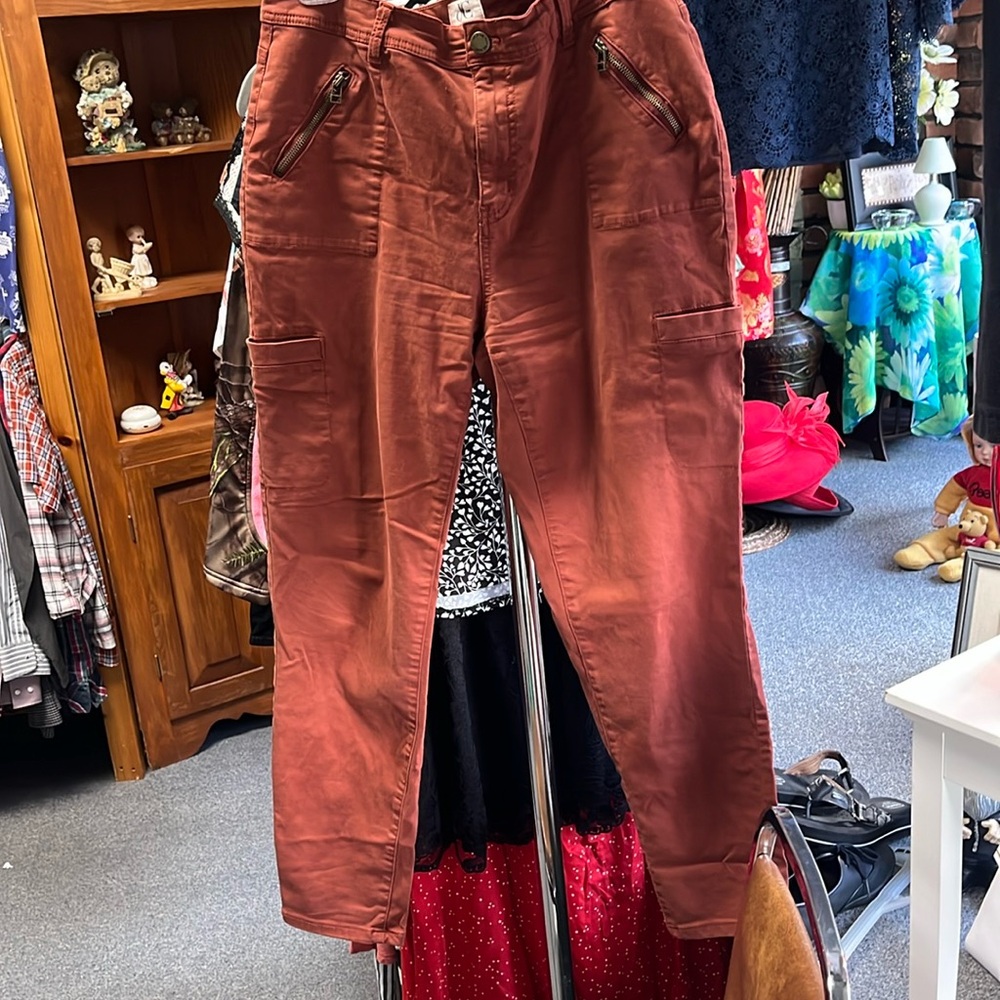 DC “slightly Curvy” Jeans On Burnt Orange